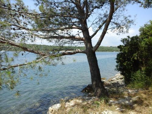 Apartamento Maistral