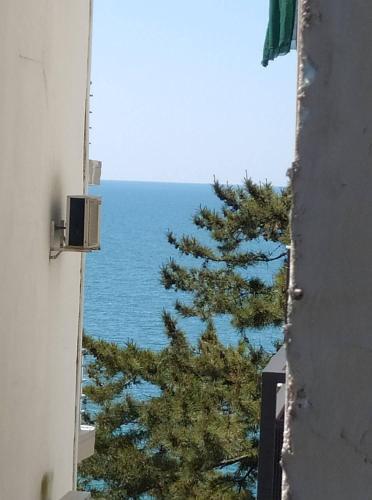Apartamento ???????? ? ????????