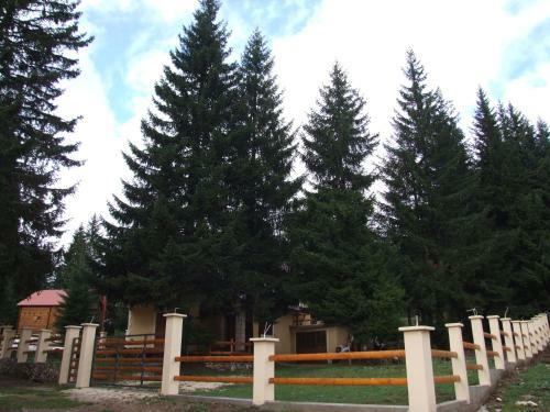 Hostal Rooms And Apartment Palas