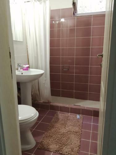 Apartmani Viva