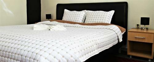 Hostal Vilas Ambasador Bratin Dol