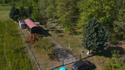 Train In The Forest