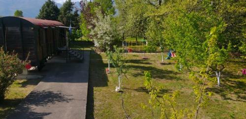 Train In The Forest