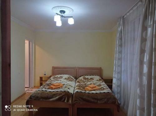 Guest House Robi