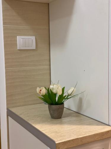 Apartman Sarak