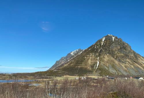 The House With The Arctic View