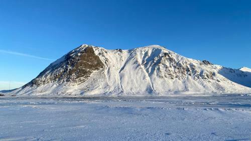 The House With The Arctic View