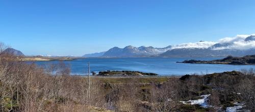 The House With The Arctic View