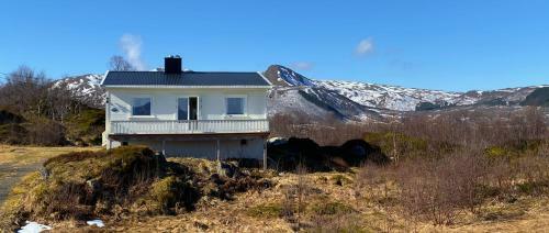 The House With The Arctic View