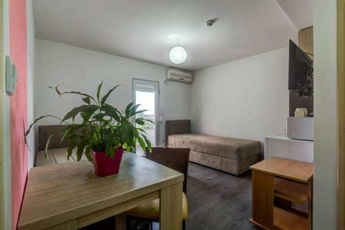 Apartmani Savovi?