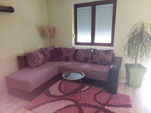 Apartamento Sara2016