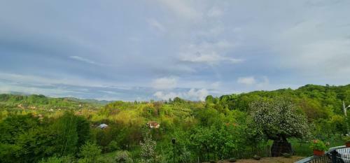Apartamento Stablo Guest House