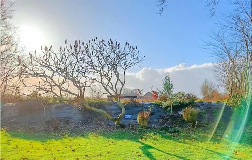 Awesome Home In Brouwershaven With Wifi And 3 Bedrooms