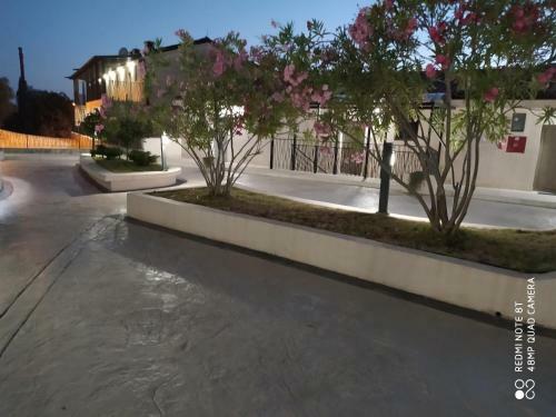 Apartment Jadran- Przno