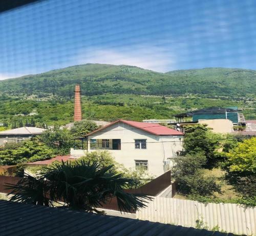Apartaments Dimir