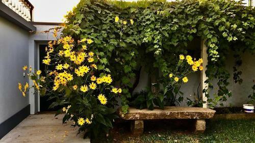 Casa �s Seis