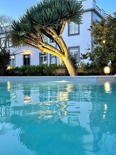 Casa �s Seis