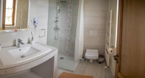 Hostal Poiana Brazilor