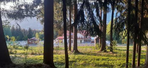 Hostal Poiana Brazilor