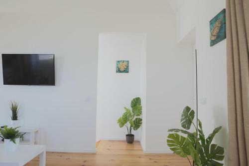House N�brega