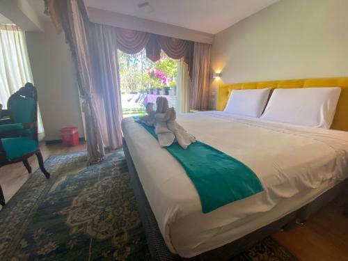 Hotel Collection