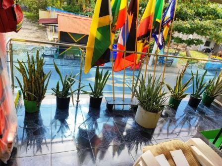 Apartamento Posada Nativa Three Brothers