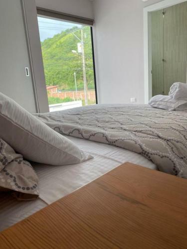 Apartamento Casa Pinto