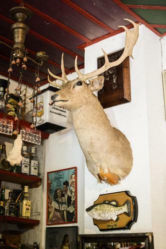 Bed & Breakfast Casa Museo Hacienda La Caba�a