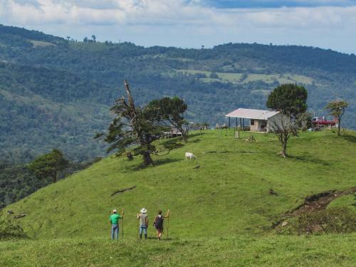 Eco Glamping