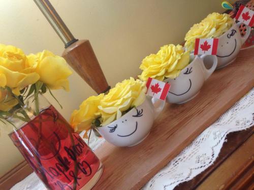 Maple Beach B&B