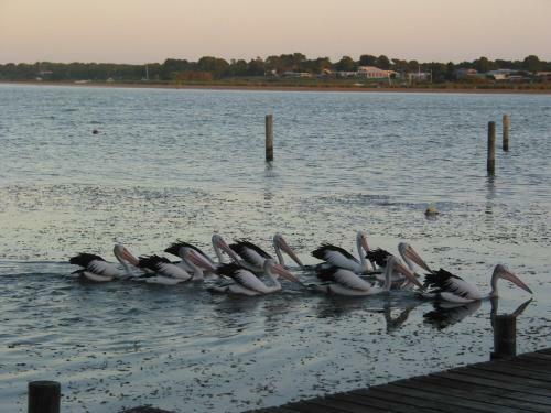 Bed & Breakfast Boathouse & Birks River Retreats