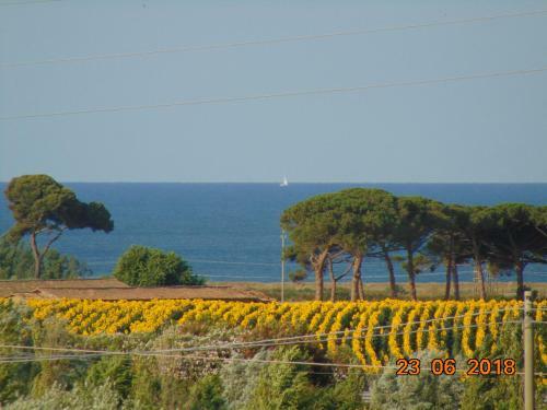 Bed & Breakfast La Mia Casa Per Tutti
