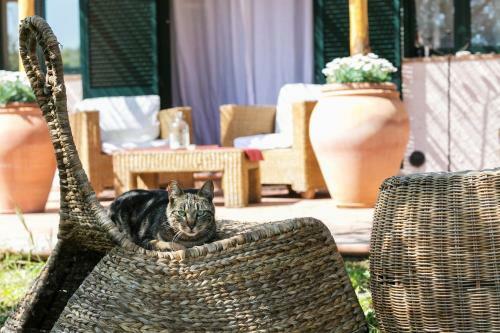 B&B At Home In Maremma