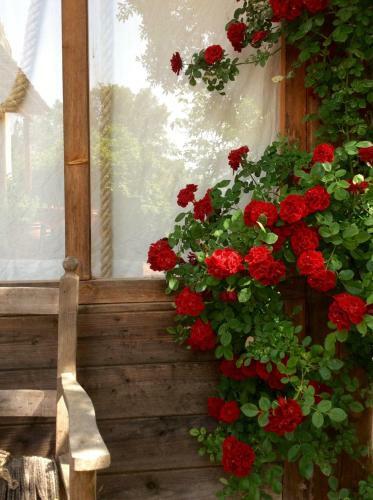 B&B At Home In Maremma
