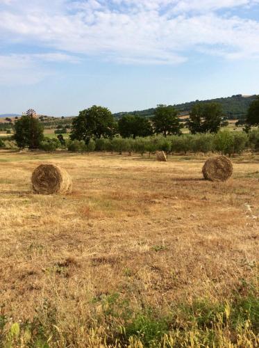B&B At Home In Maremma
