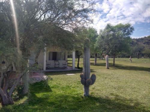 Apartamento Caba�as La So�ada