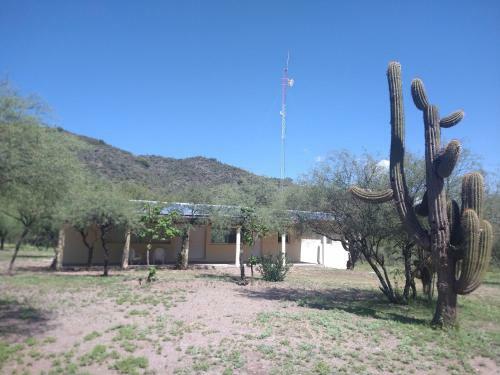 Apartamento Caba�as La So�ada