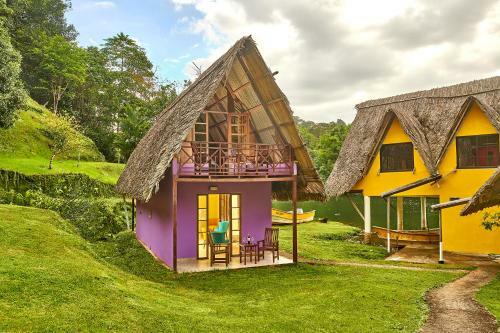 Hotel Rain Forest Lodge