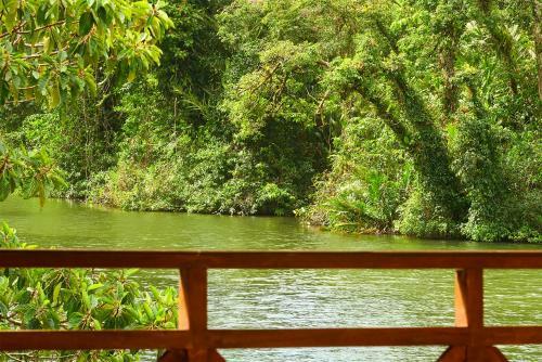 Hotel Rain Forest Lodge