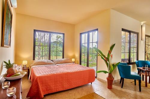 Hotel Rain Forest Lodge