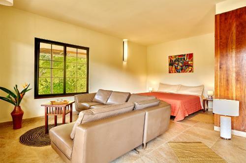 Hotel Rain Forest Lodge
