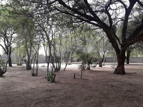 Mochaba Crossing Lodge