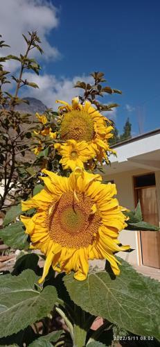 El Sol De Oro Hotel