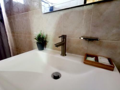 Hotel & Suites Guacamaya
