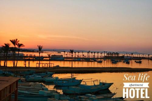 Aquarium Hotel Apartment Hurghada