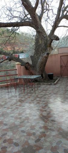 Hostal G�te Tizinoubadou