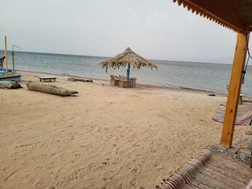 Africa Beach Camp