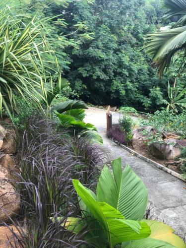Apartamento Rock And Palm Lodge Self Catering Appartment
