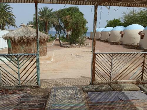 Sababa Village