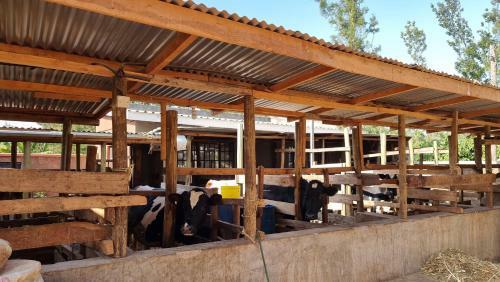 Agroturismo Waridi Farmhouse